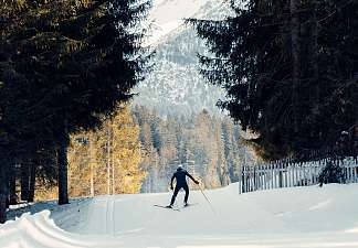 Eine Person auf Langlaufskis auf einer verschneiten Loipe in Lenzerheide, umgeben von Nadelbäumen und Bergen im Hintergrund.