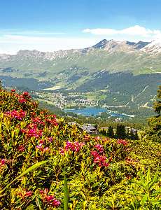 Sunstar Swiss Hotel Collection Lenzerheide Sommer 2