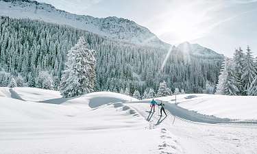 Sunstar Swiss Hotel Collection Lenzerheide Langlauf Langläufer im Wald