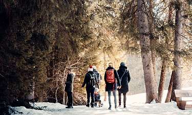 Sunstar Swiss Hotel Collection Lenzerheide Winter im Wald Gruppe am Winterwandern