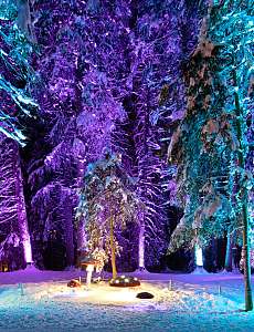 Sunstar Swiss Hotel Collection Lenzerheide Weihnachten süsses Eichhörnchen - jööööh