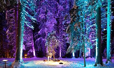 Zauberwald Lenzerheide Zauberwald Lenzerheide